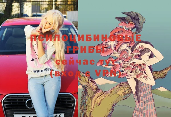 apvp Беломорск