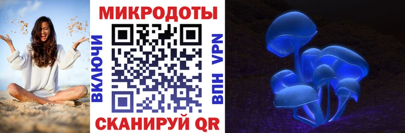 Галлюциногенные грибы Psilocybe  Коммунар 